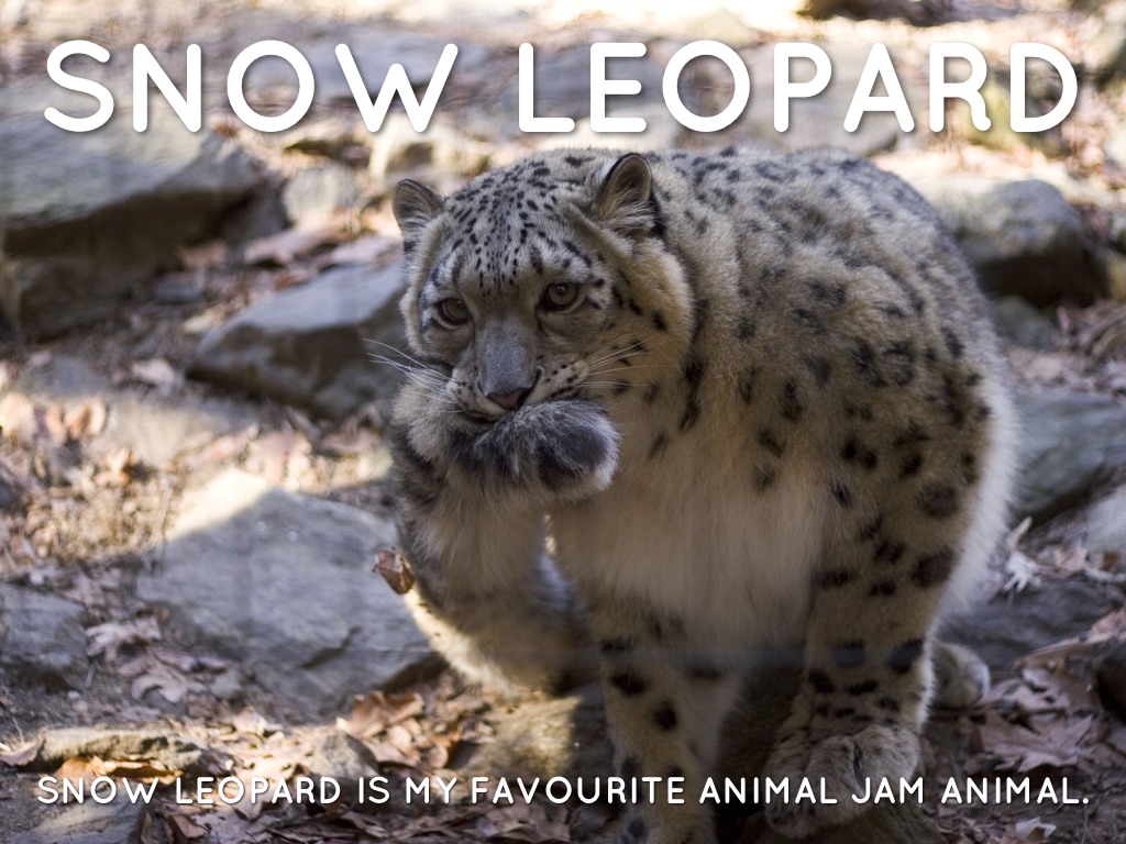snow leopard 10.6 download